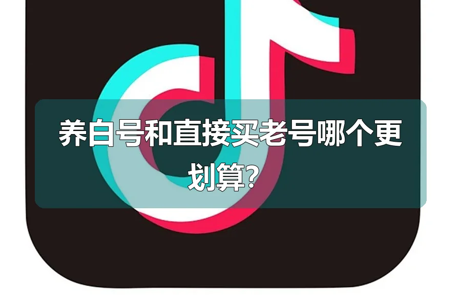 养白号和直接买老号哪个更划算？
